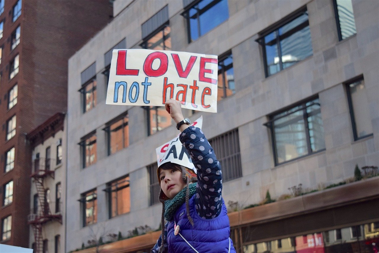 women's march, sign, child-2001559.jpg